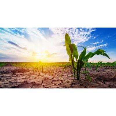 Arrêté vigilance sècheresse